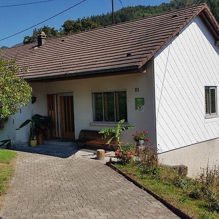 Villa Les Noyers Du Wissbach à Willer-sur-Thur Extérieur photo