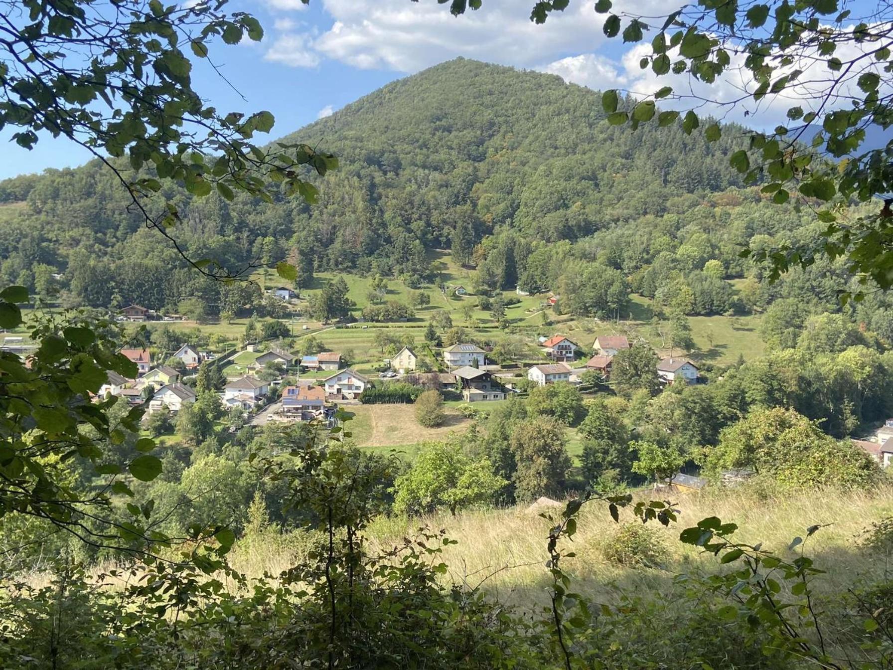 Villa Les Noyers Du Wissbach à Willer-sur-Thur Extérieur photo