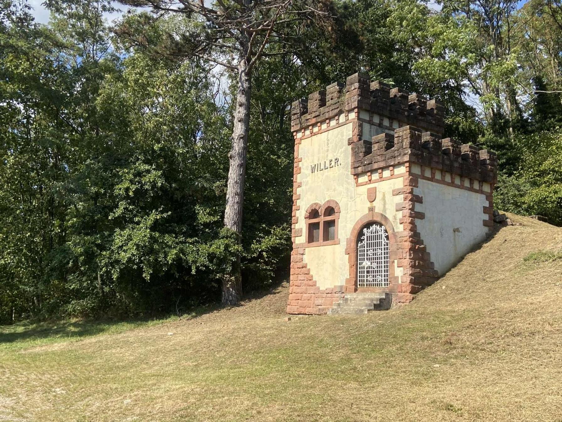 Villa Les Noyers Du Wissbach à Willer-sur-Thur Extérieur photo